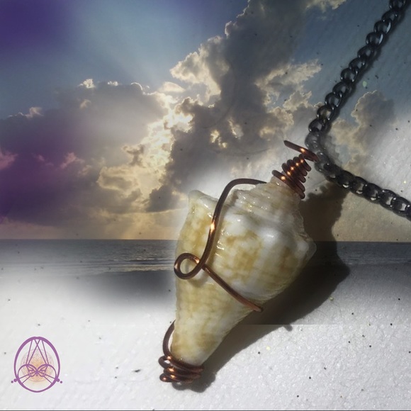 Creamsicle Drill Seashell Necklace - Picture 3 of 4